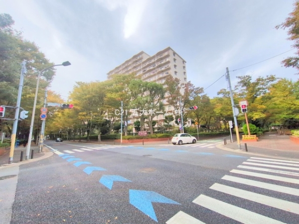 サンライトパストラル五番街D棟