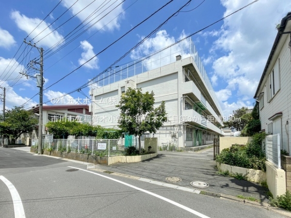 市川市稲荷木２丁目の新築一戸建(市川市立稲荷木小学校)