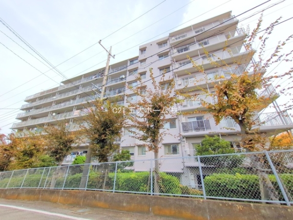 ビューパレー南柏