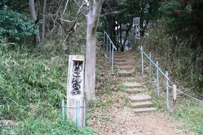 松戸市小金上総町の土地(関さんの森)
