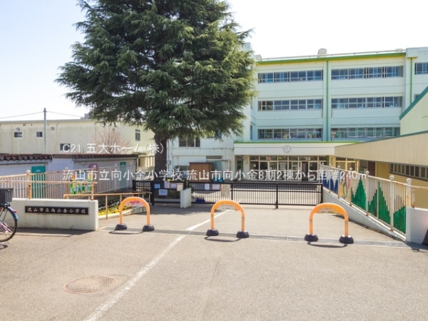 流山市向小金2丁目(流山市立向小金小学校)