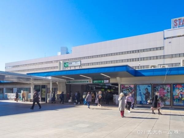 ブルーハイツ柏(柏駅(東武　野田線))
