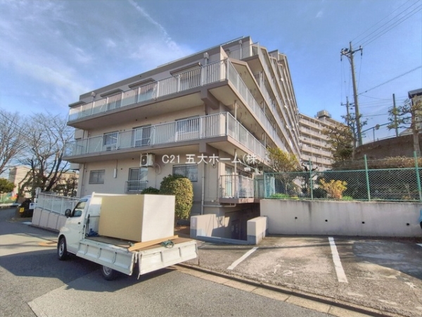 メイツ柏