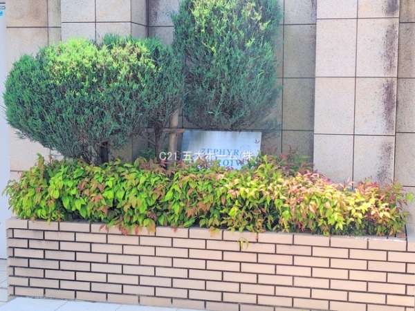 ゼファー北小岩クリアス