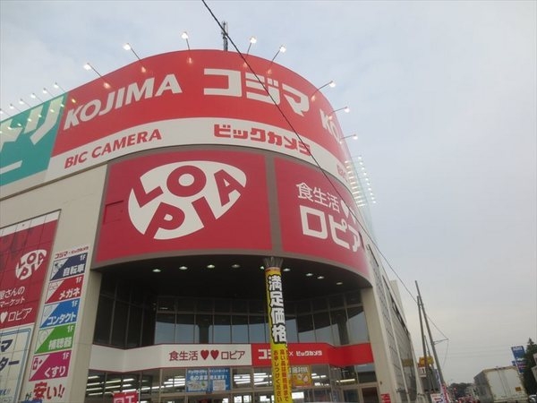 サーパス柏(ロピア柏コジマ店)