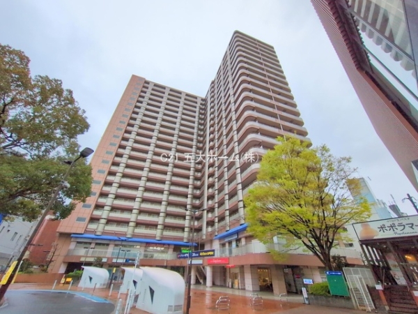 ビューネタワー平井
