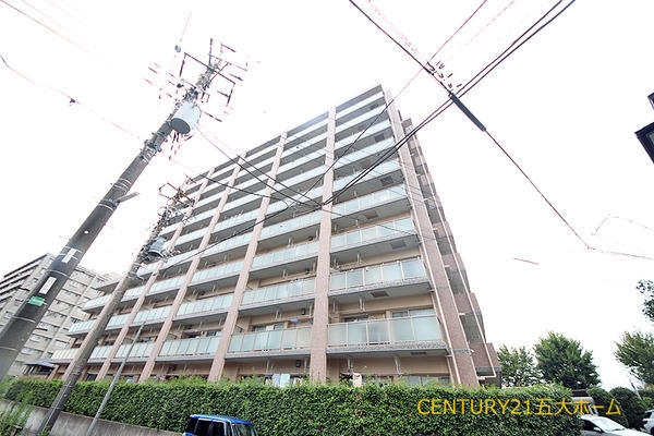 ペルル松戸ＭＡＢＡＳＨＩ　８／２０完工予定