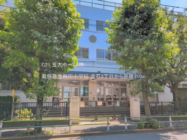 葛飾区立石３丁目の土地(葛飾区立梅田小学校)