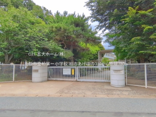 藤和シティホームズ柏(柏市立柏第一小学校)