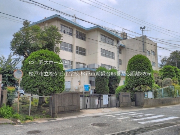 松戸市胡録台の新築一戸建(松戸市立松ケ丘小学校)