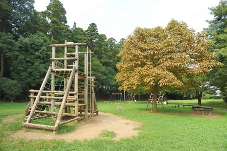 流山市松ケ丘2丁目(東部近隣公園)