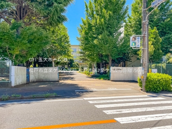 松戸市栗ケ沢の新築一戸建(松戸市立栗ケ沢小学校)