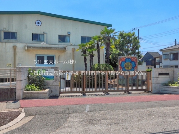 市川市曽谷４丁目の土地(市川市立曽谷小学校)