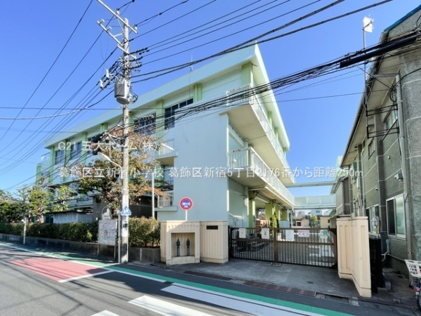 葛飾区新宿５丁目の新築一戸建(葛飾区立新宿小学校)