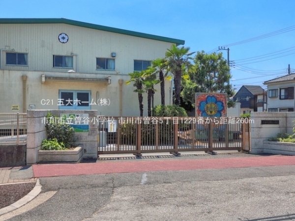 市川市曽谷５丁目の土地(市川市立曽谷小学校)