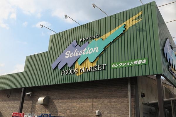 初石パークホームズＢ棟(FOODS　MARKET　Selection西原店)