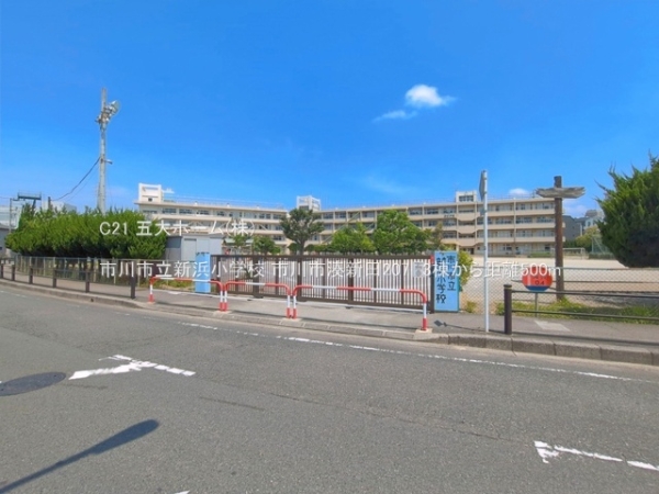 市川市湊新田２丁目の新築一戸建(市川市立新浜小学校)