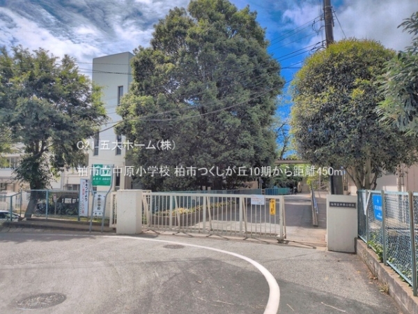 柏市つくしが丘３丁目の土地(柏市立中原小学校)