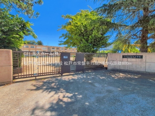 松戸市常盤平１丁目の新築一戸建(松戸市立高木小学校)