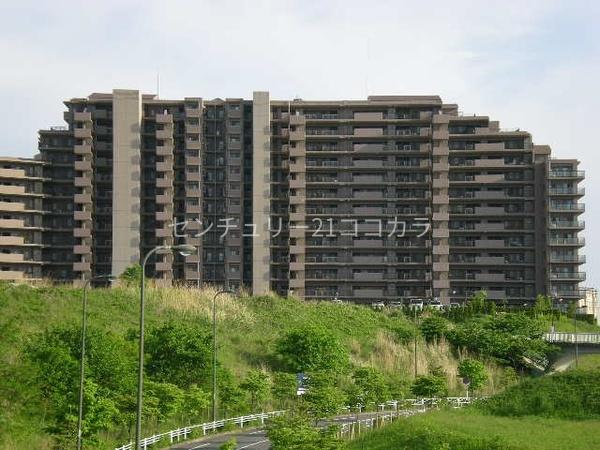 プレセダンヒルズ南大沢中古マンション