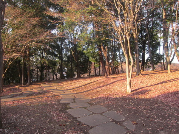 八王子市南陽台１丁目の土地(富士見台公園)