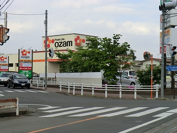 八王子市泉町　新築一戸建て・全2棟　1号棟(スーパーオザム大楽寺店)