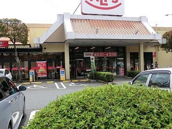 八王子市寺田町の土地(スーパーアルプスはざま店)