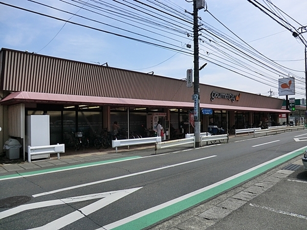 八王子市石川町　新築一戸建て(イオンフードスタイル八王子大和田店)