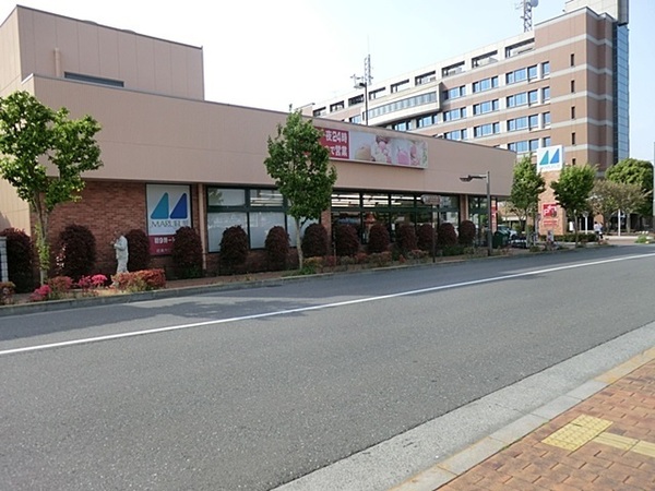 八王子市丸山町の土地(マルフジ昭島市役所通り店)