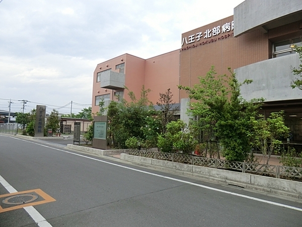 八王子市川口町の土地(医療法人社団純正会八王子北部病院)