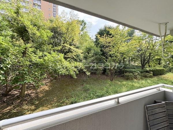 長池公園せせらぎ通り北　中古マンション