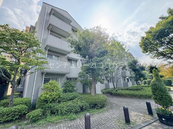 長池公園せせらぎ通り北　中古マンション