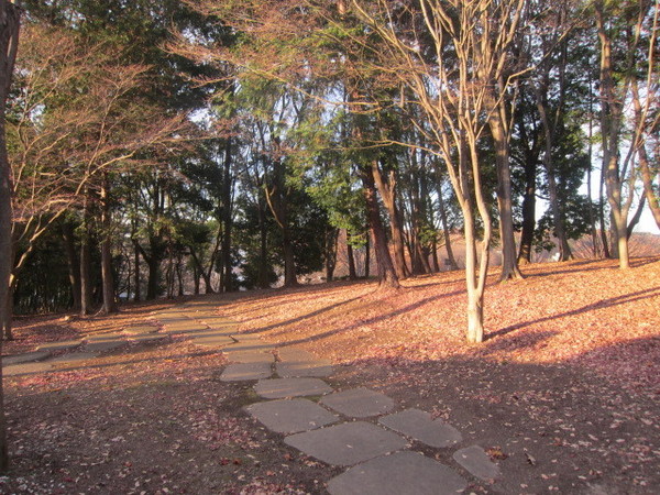 八王子市松木 新築一戸建て(富士見台公園)