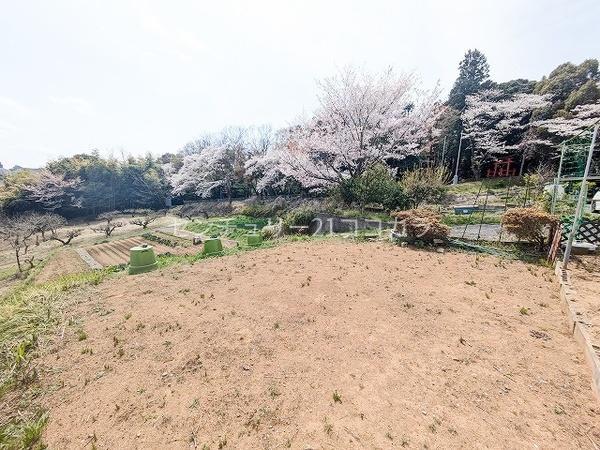 八王子市下柚木　土地　家庭菜園・資材置場