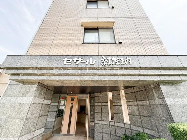 セザール京王堀之内　中古マンション