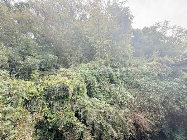 八王子市元八王子町 新築一戸建て・全11棟 7号棟(現地からの眺望)