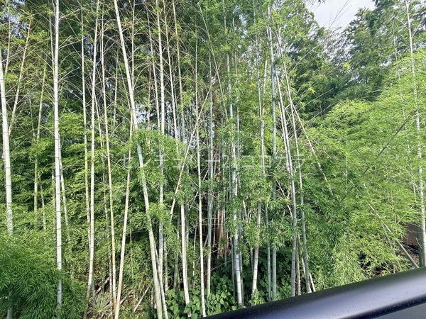八王子市四谷町　新築一戸建て・全6棟　3号棟