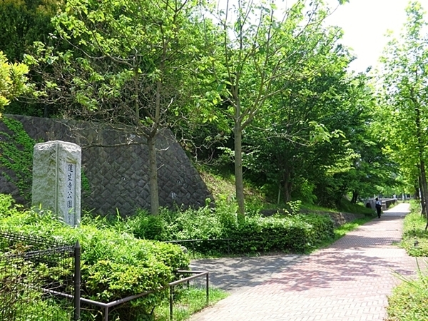 蓮生寺公園通り三番街三号棟　中古マンション(蓮生寺公園)