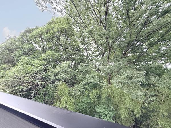 八王子市緑町　新築一戸建て・全3棟　2号棟