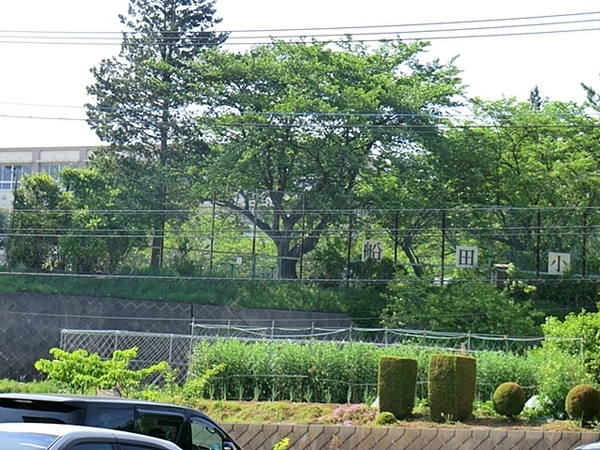 八王子市長房町　新築一戸建て　1号棟(八王子市立船田小学校)