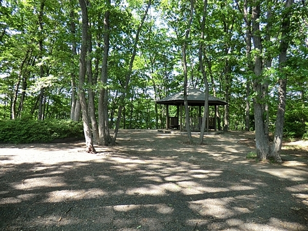 高尾パークハイツＡ棟　中古マンション(狭間公園)