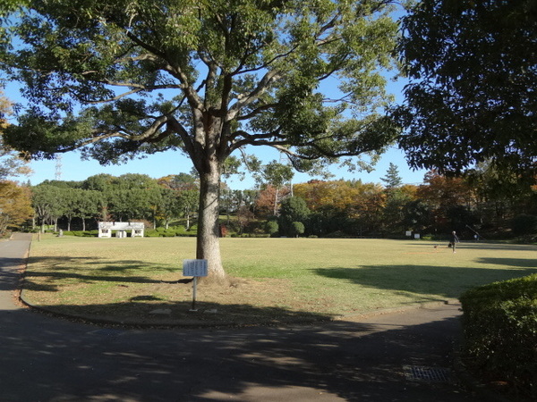 八王子大塚　新築一戸建て・全2棟　1号棟(大塚公園)