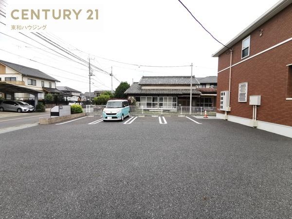 サンシャイン　サンフラワー