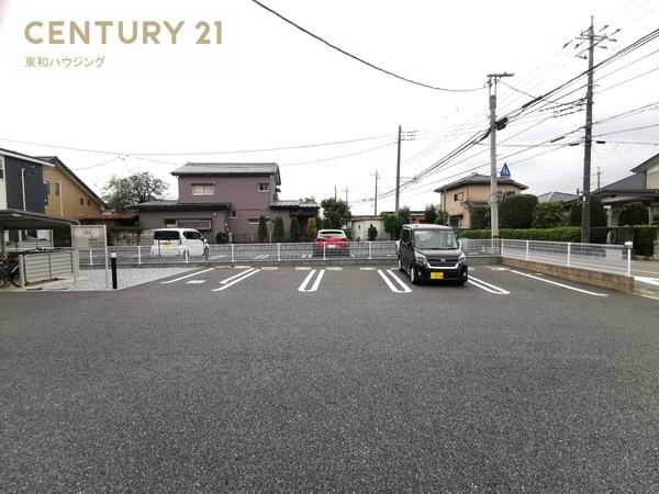 サンシャイン　サンフラワー
