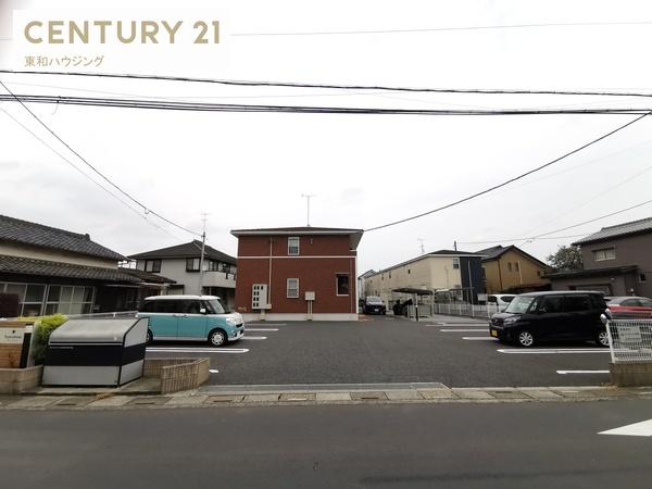 サンシャイン　サンフラワー