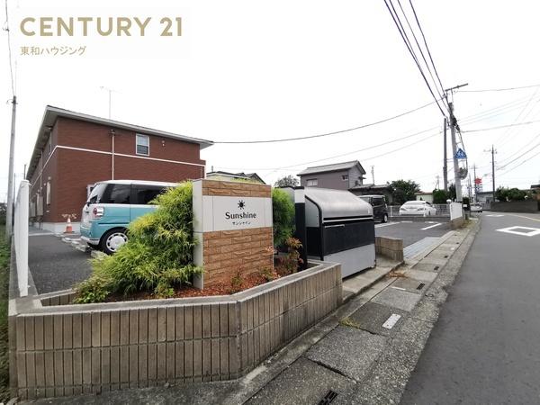 サンシャイン　サンフラワー