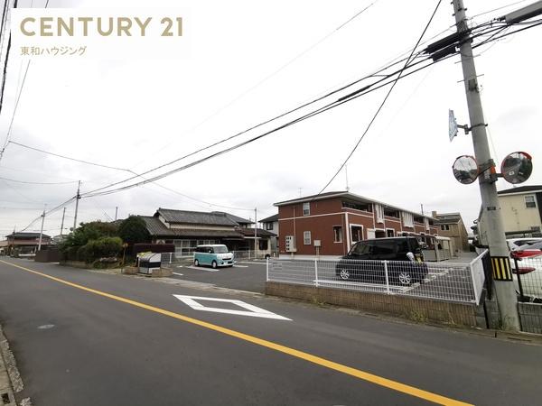 サンシャイン　サンフラワー