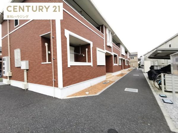 サンシャイン　サンフラワー