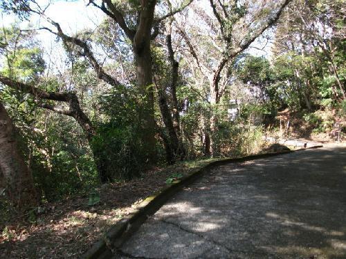 下田市吉佐美の土地