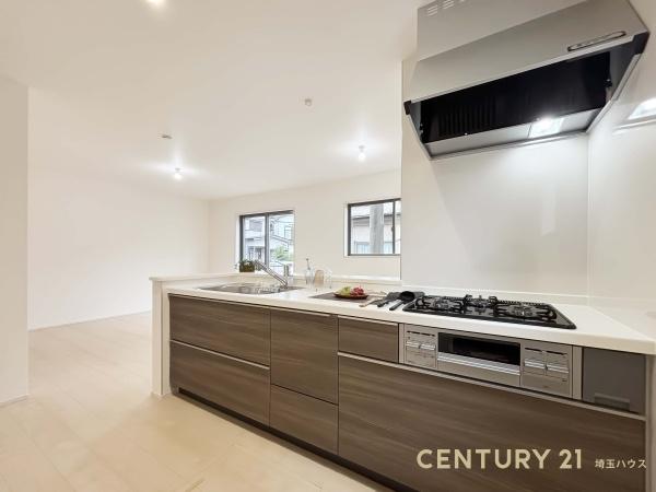 春日部市大枝の新築一戸建